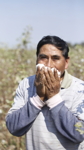 One of the farmers in our supply chain smells the beautiful organic cotton flowers.