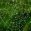 Catalyzing the Connection Economy